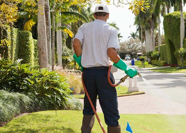 About Jekyll Island GA Pest Control Pros